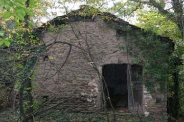 Frazione Coldimosso